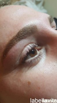 Orientation: 1 image00001
